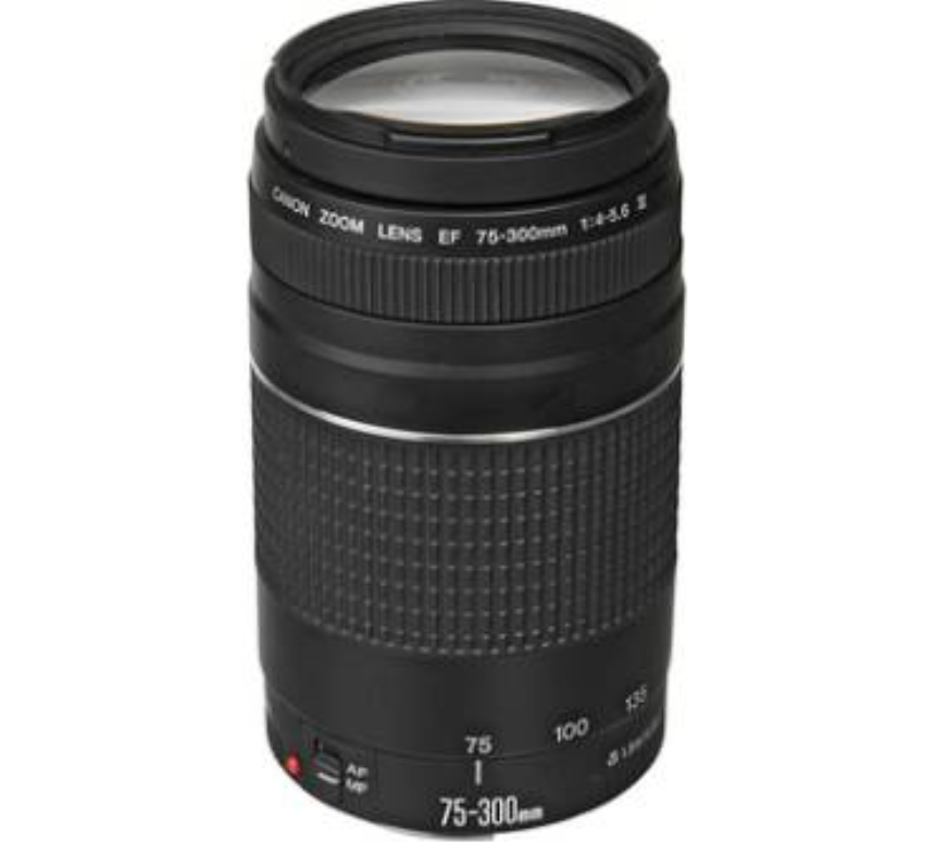 Canon EF 75-300mm 4.0-5.6 III