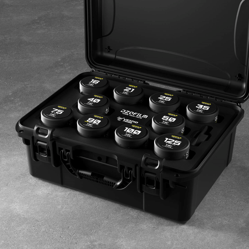 DZOFilm Vespid Prime 10-Lens Kit (16 T2.8 + /21/25/35/40/50/75/100/125 T2.1 + Macro 90 T2.8) metric