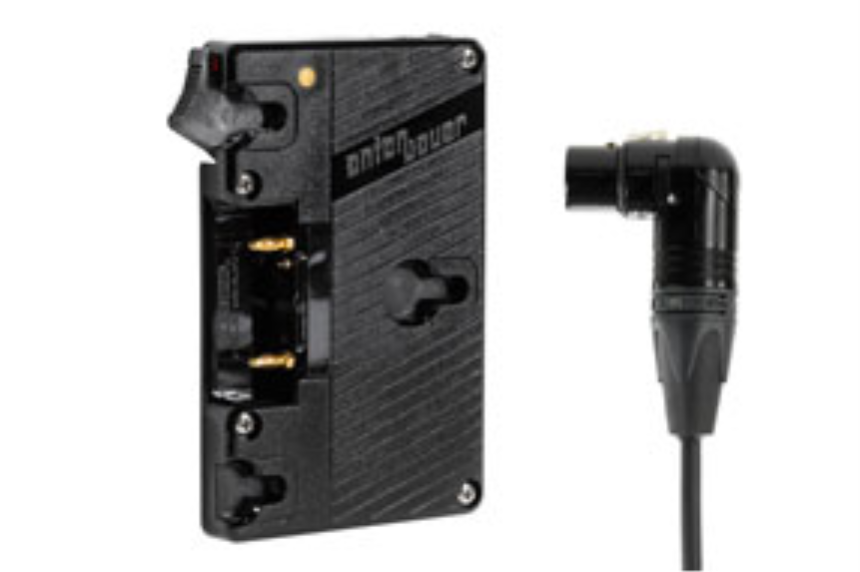 Wooden Camera - WC Gold Mount (XLR-RA)