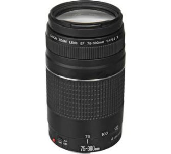 Canon EF 75-300mm 4.0-5.6 III