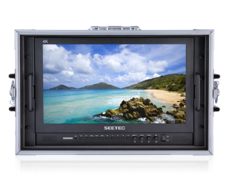 FEELWORLD SEETEC P173-9HSD-CO