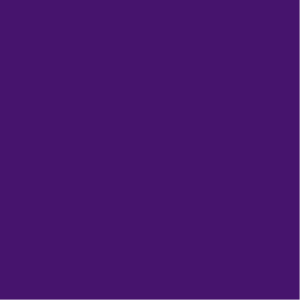 Rosco Cinegel #2009: VS Violett 50cm x 60cm