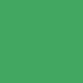 Colorama - Chromagreen 2.72 x 11 m