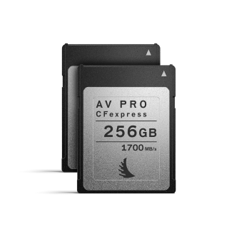 Angelbird Match Pack for Canon EOS R5 | 1DX MK3 256 GB | 2 PACK