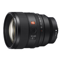 Sony E-Mount FF 85mm GM II F1.4