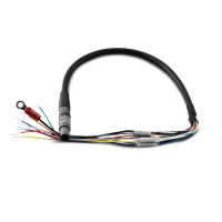 RED&amp;#174; 9-Pin EXT-to-Flying Lead Cable 1.3&amp;#39;