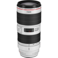 Canon EF 70-200mm f/2.8L IS III USM