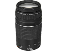 Canon EF 75-300mm 4.0-5.6 III