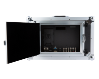 FEELWORLD SEETEC P173-9HSD-CO