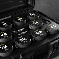 DZOFilm Vespid Prime 10-Lens Kit (16 T2.8 + /21/25/35/40/50/75/100/125 T2.1 + Macro 90 T2.8) metric