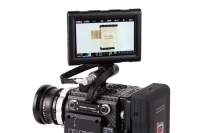 Wooden Camera - RED Male Pogo to Male LCD/EVF Cable (12in/30cm, RED&amp;#174; DSMC2™)