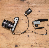 Tentacle Timecode &amp;amp; Microphone to Camera Y-Cable