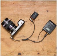 Tentacle Timecode &amp;amp; Bodypack Receiver to Camera Y-Cable