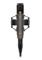 Sennheiser MKH 800 Twin Nx