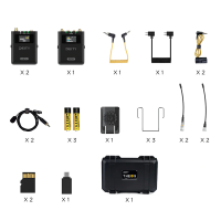 Deity THEOS Digital Wireless 2ch Kit (Global version)