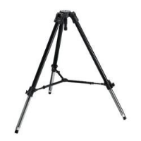 Manfrotto 528X Video Pro Stativ 100mm