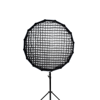 Aputure Light Dome SE