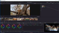 Videoschnitt mit DaVinci Resolve