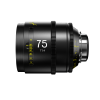 DZOFILM Arles 75mm T1.4 FF/VV Prime Cine Lens for PL (metric)