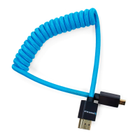 Kondor Blue Coiled Micro HDMI to Full HDMI (12-24&amp;quot;) (Kondor Blue)
