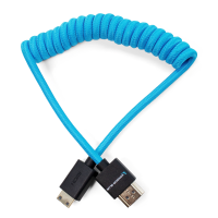 Kondor Blue Coiled Mini HDMI to Full HDMI (12-24&amp;quot;)