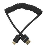 Kondor Blue Coiled Mini HDMI to Full HDMI (12-24&amp;quot;) - Black